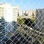 Flat Cezar\'S Park